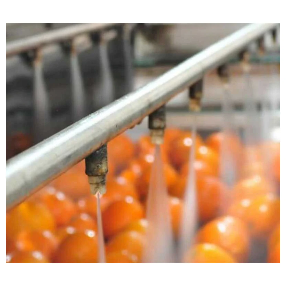 Fruit and vegetables on the mesh belt under the spray