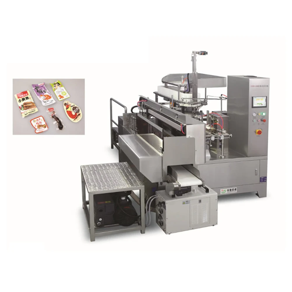 GD8-ZK100 vacuum bag packing machine P29 with a compact rotary frame