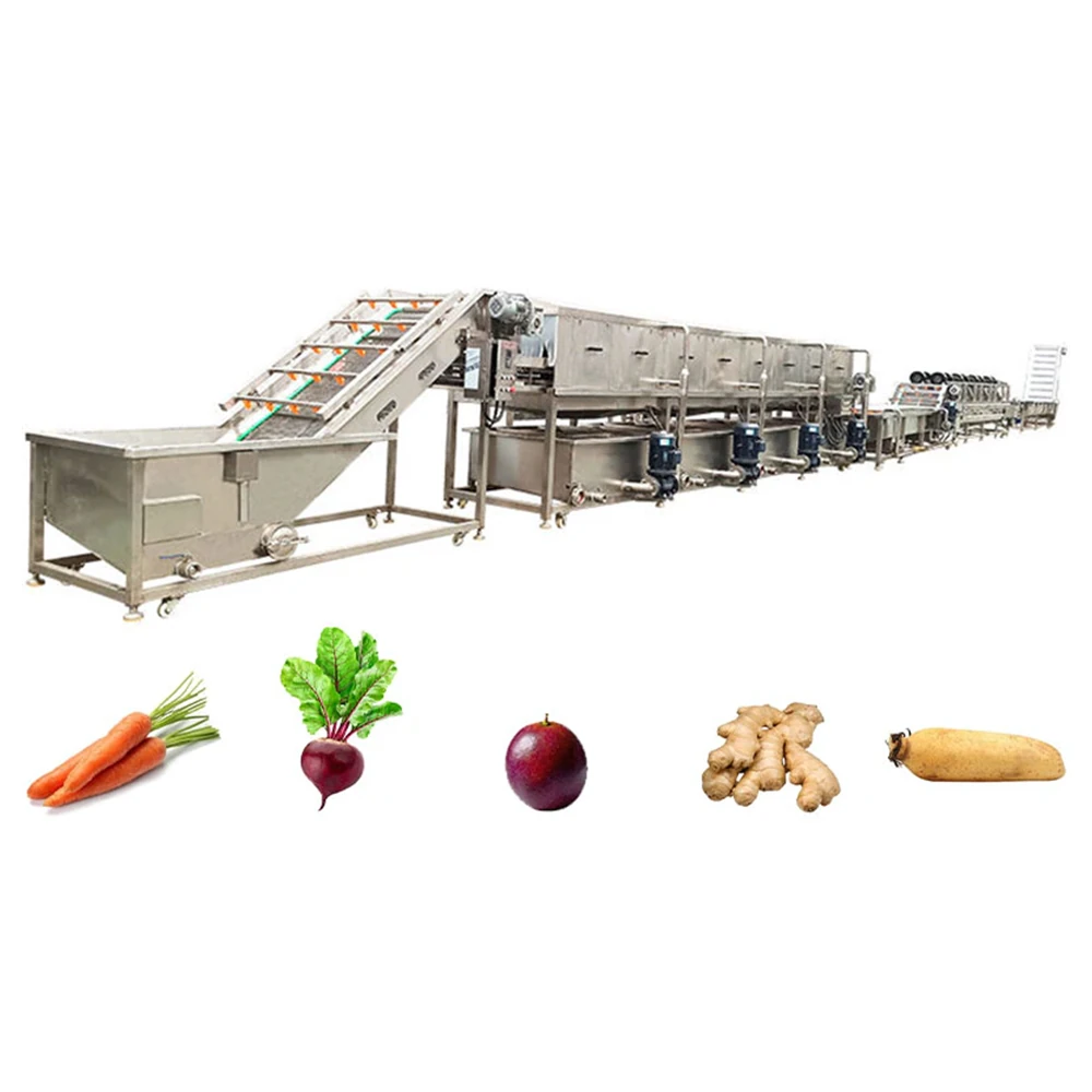 Washer installed in a root vegetable processing line