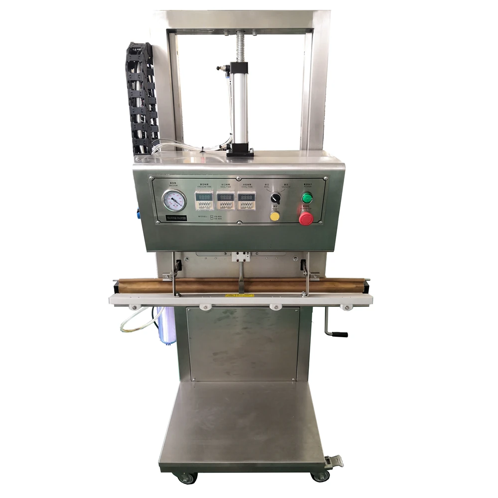 Vacuum and gas-flush heat sealing machine